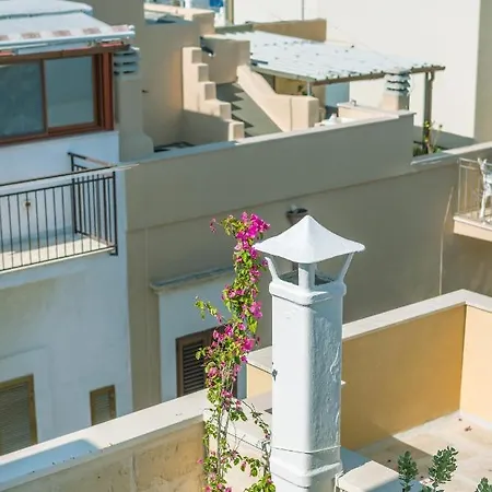 Civetthouse : La Casa Delle Civette *