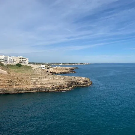 Civetthouse : La Casa Delle Civette *