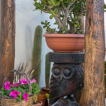 Civetthouse : La Casa Delle Civette Polignano a Mare