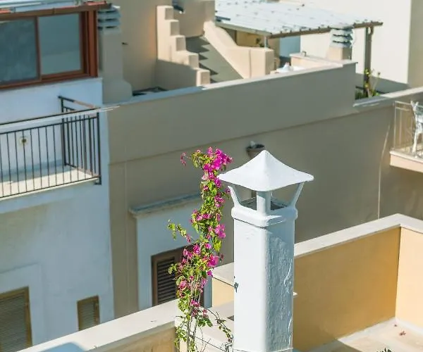 Civetthouse : La Casa Delle Civette *